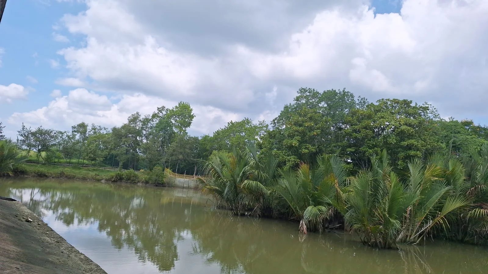 Sundarban Wildlife Tour: The Best Weekend Travel Destination