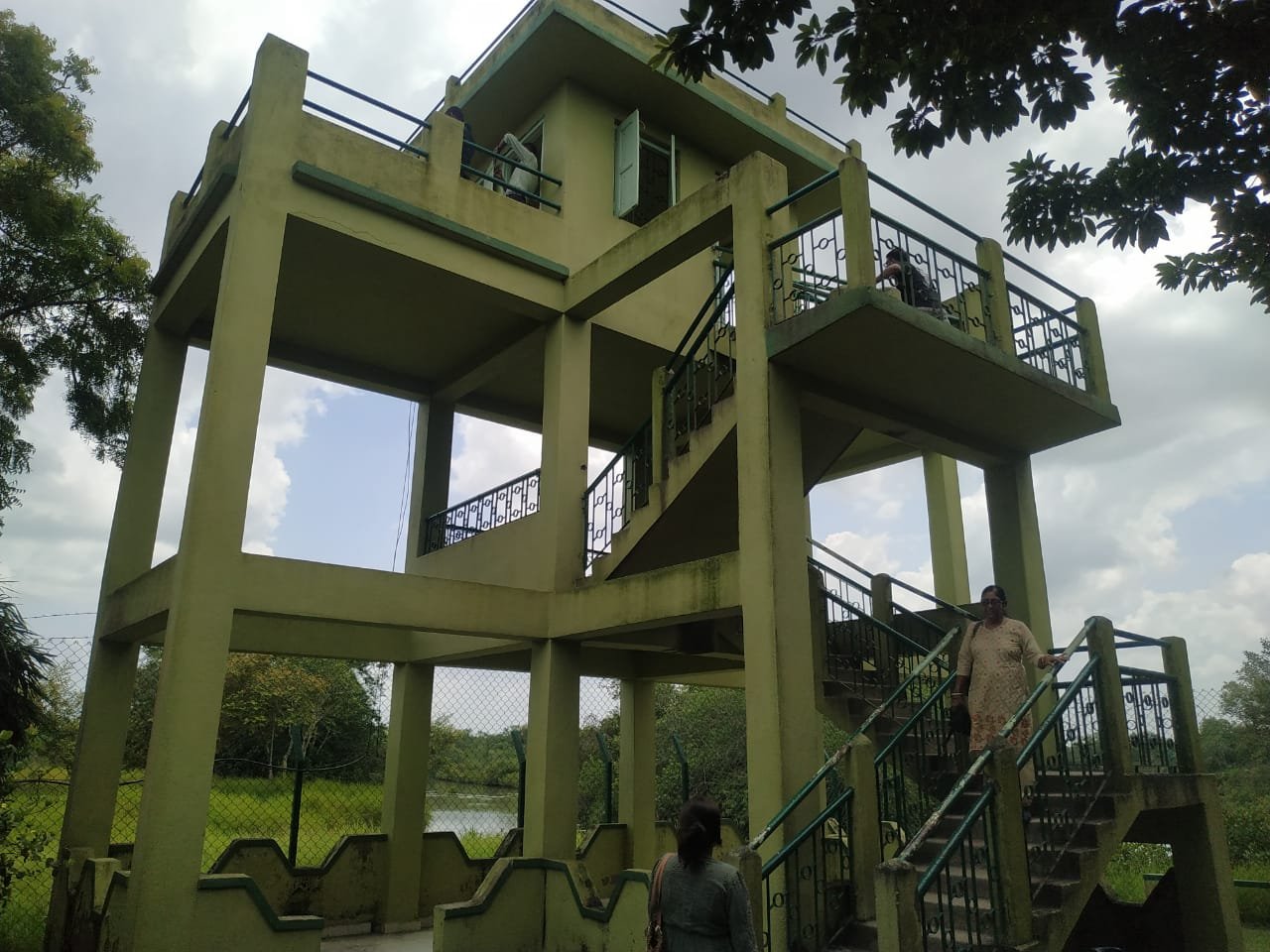 Unforgettable Sundarban Trip – Tiger Reserve & Nature Tours