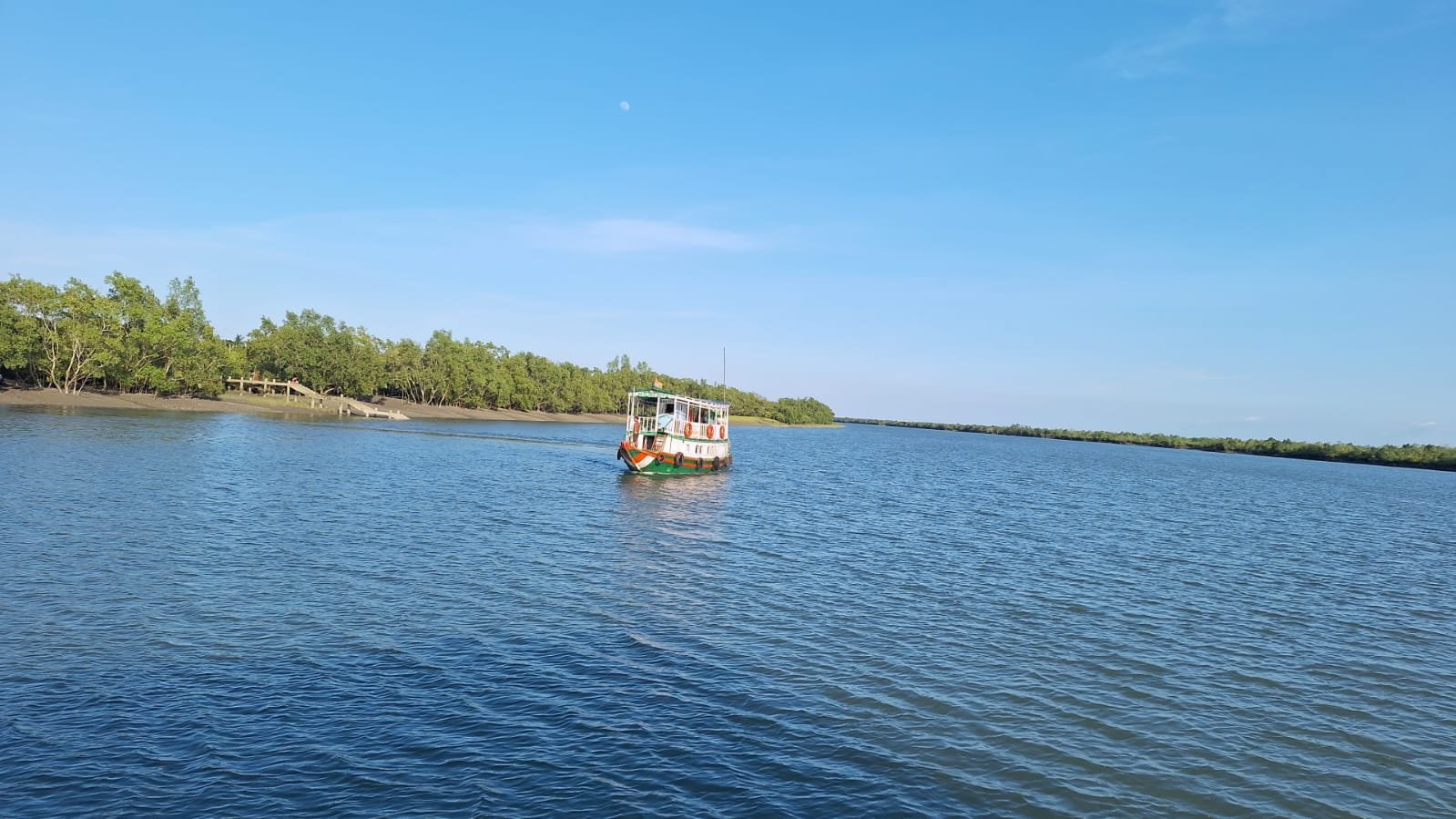 An Adventure in Amazing Mangrove Forest: A Wildlife Trip