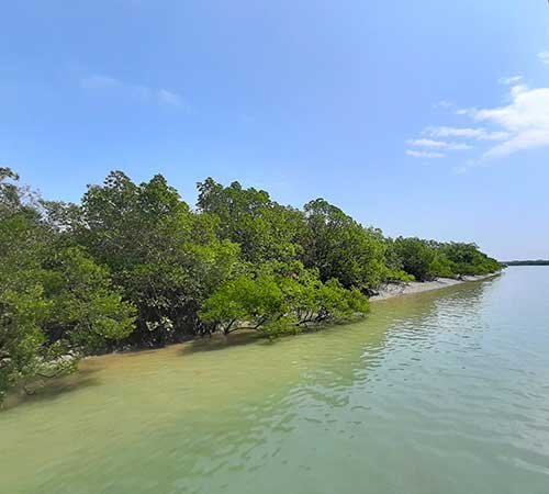 Sundarban 1 Night 2 Days Tour Package