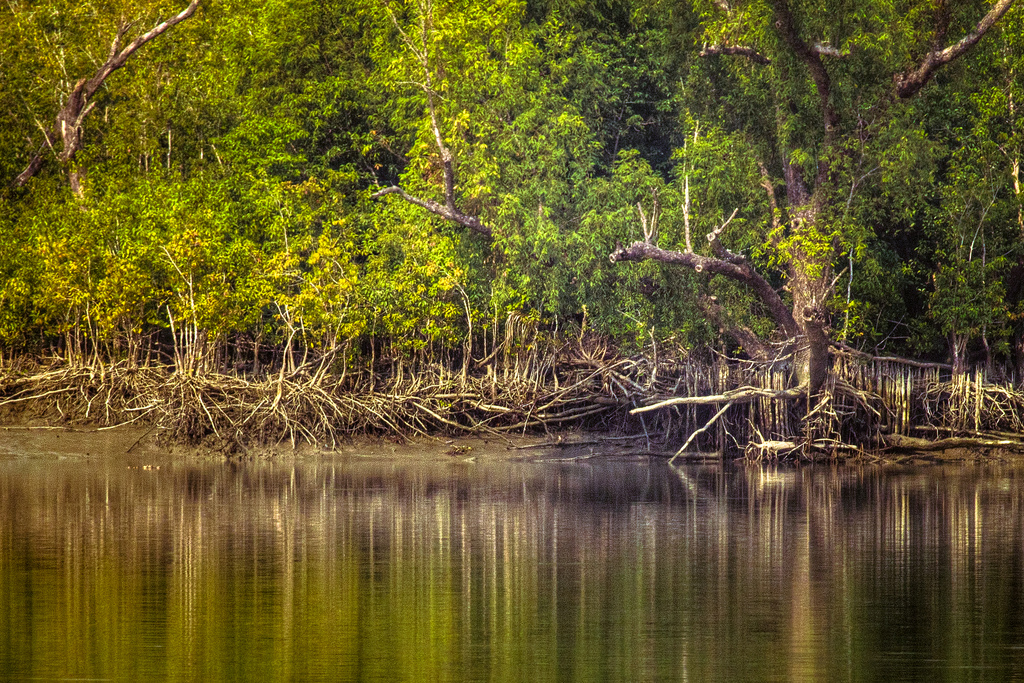 Sundarban 3 Nights 4 Days Tour Package