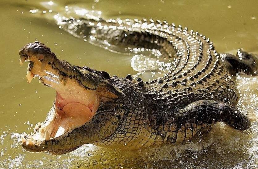 Sundarban 4 Nights 5 Days Tour Package