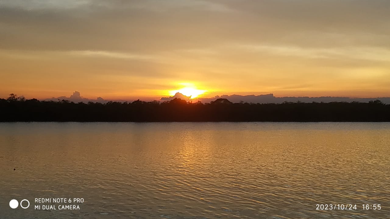 Sundarban Day Tour