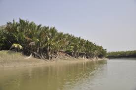 Sundarban Adventure Tour Package